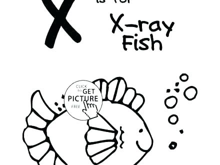 440x330 X Ray Fish Coloring Page Coloring Pages Cars X Ray Page Fish