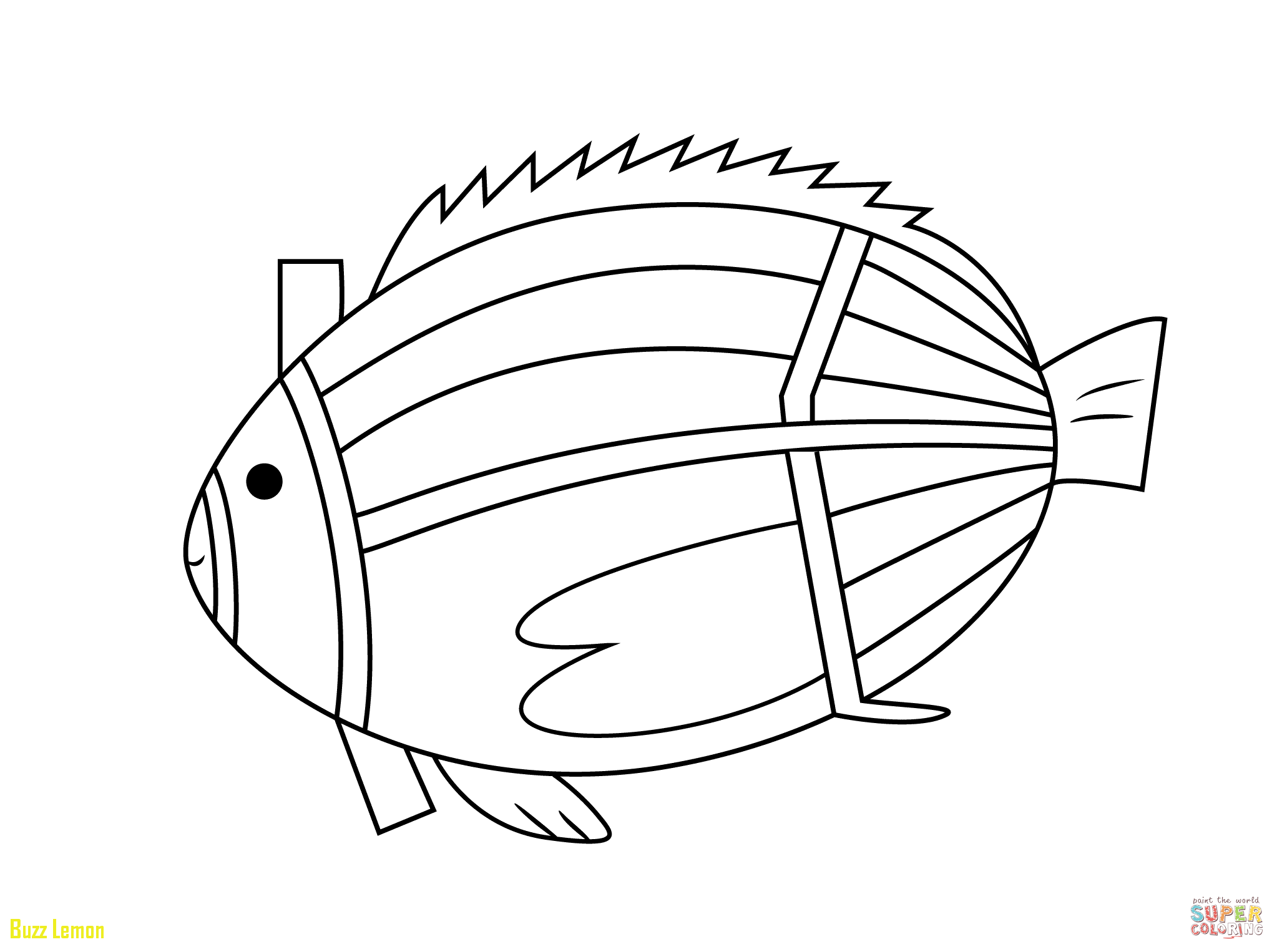 2046x1526 Elegant X Ray Fish Coloring Page Buzz Coloring