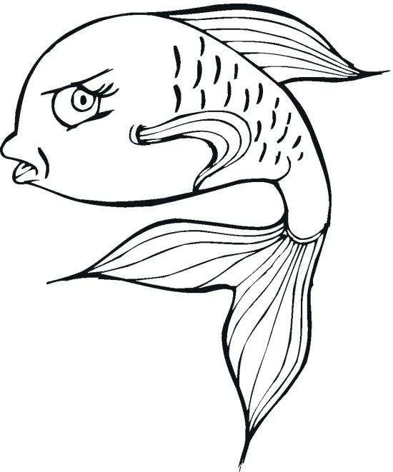 550x661 Empty Fish Bowl Coloring Page Impressive Design Tetra Animal