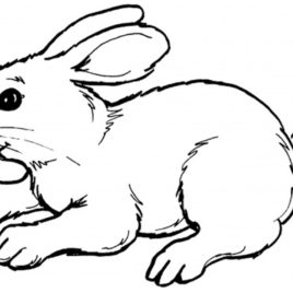 268x268 Coloring Pages Xbox 360 Kids Drawing And Coloring Pages