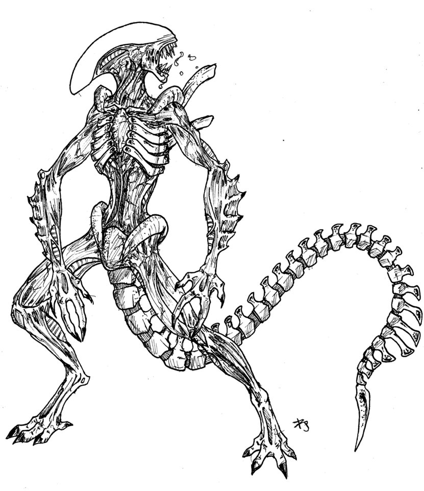 831x961 Xenomorph Warrior By Arvalis
