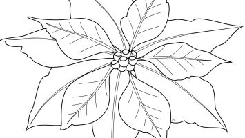 355x200 Pokemon Coloring Pages Xerneas Gallery Coloring For Kids 2018