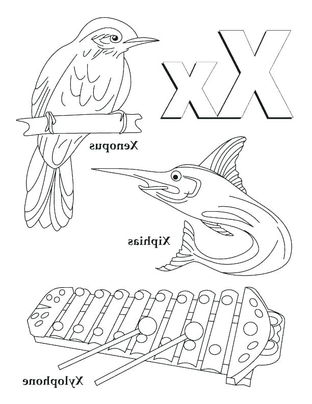 612x792 Letter X Coloring Page Xylophone Coloring Page Printable Xylophone