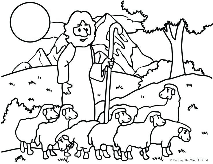 736x567 Hundred Sheep Coloring Pages For Kids Yahoo Search Bible Coloring
