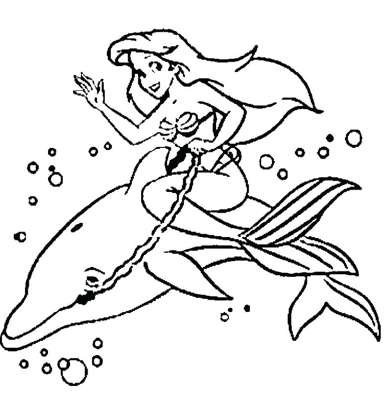 800x831 Printable Dolphin Coloring Pages Coloring Pages Of Dolphins