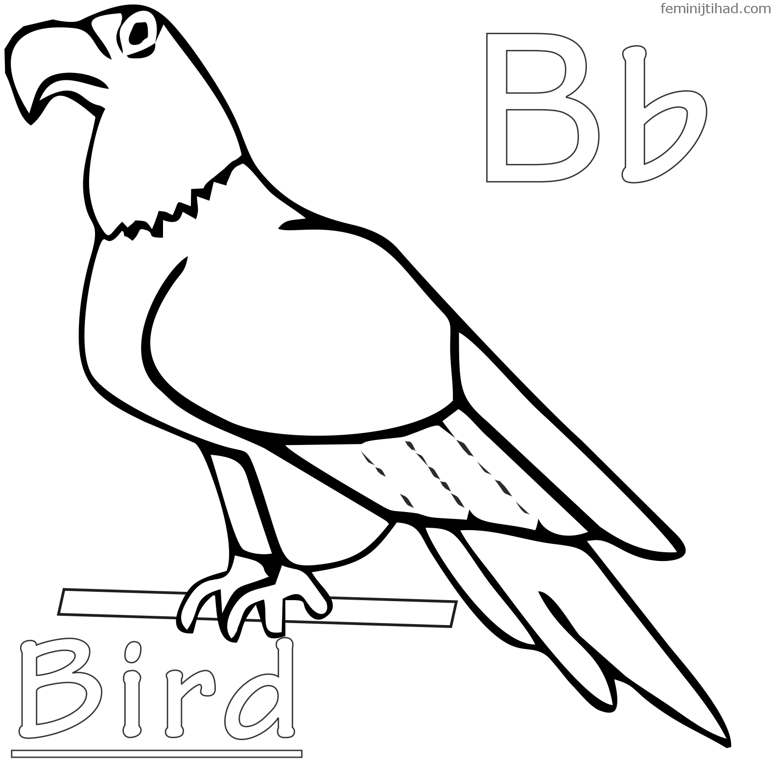1575x1575 Ingenious Design Ideas Free Printable Bird Coloring Pages Chuck