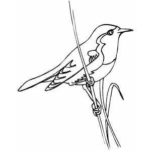300x300 Picture Coloring Book Coloring Pages