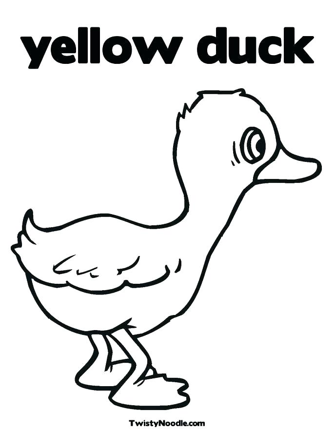 685x886 Yellow Color In Baby Eyes Jacket Coloring Page For Kids