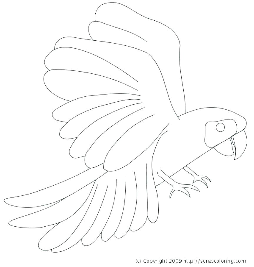863x906 Yellow Coloring Page Coloring Page Big Yellow Bus Yellow Jacket