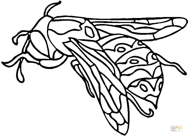 750x548 Ant Man Yellow Jacket Coloring Pages Wasp Page Free Printable