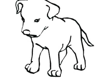 440x330 Coloring Pages For Kids Winter Yellow Lab Colouring Puppies S