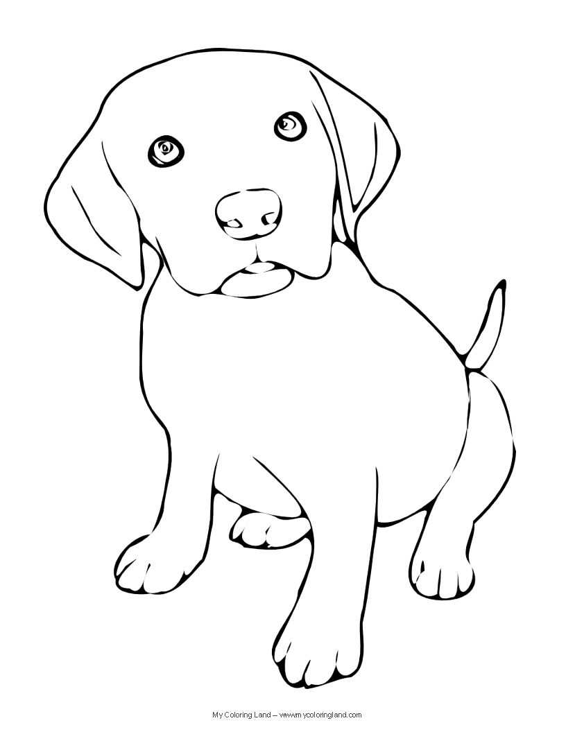 816x1056 Gigantic Yellow Lab Puppy Coloring Pages We Ho