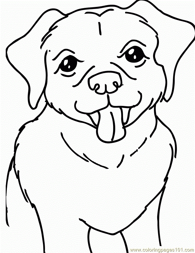 650x841 Labrador Coloring Pages Awesome Yellow Lab Coloring Pages Coloring