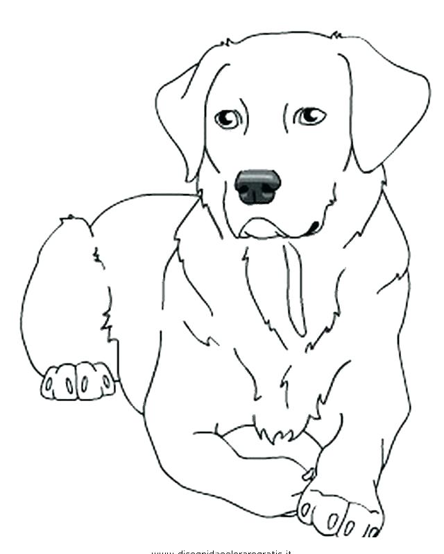 640x797 Labrador Coloring Pages Chocolate Lab Puppy Coloring Pages
