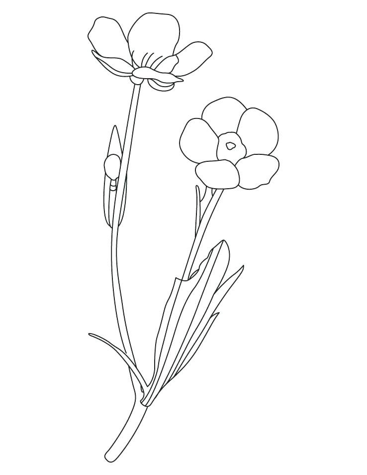 738x954 Yellow Coloring Pages Puppies Coloring Pages Puppy Coloring Pages