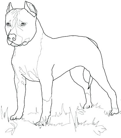 419x480 Black Lab Coloring Pages Golden Retriever Coloring Pages Black Lab