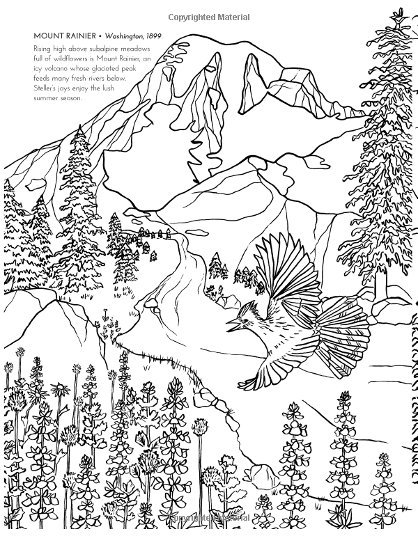 600x770 Amazon National Parks Coloring Book