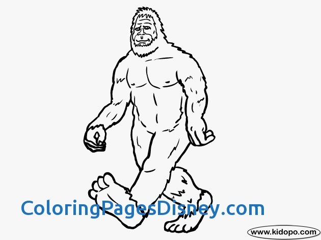 630x470 Yeti Ampamp Bigfoot Coloring Pages Beautiful Bigfoot Coloring Pages