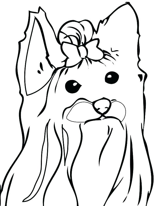 615x796 Yorkie Color Pages Coloring Page Teacup Coloring Pages Coloring