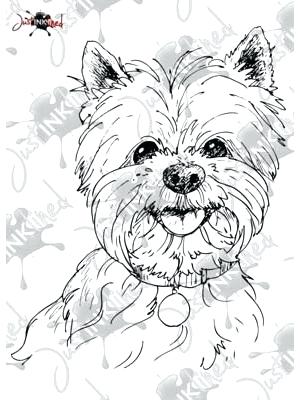 300x400 Yorkie Coloring Pages Coloring Head Of Terrier Vector Coloring