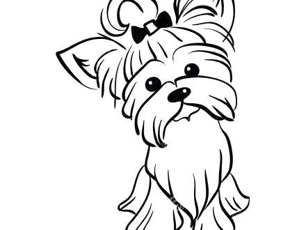 440x330 Yorkie Coloring Pages Coloring Pages Yorkie Colouring Pages