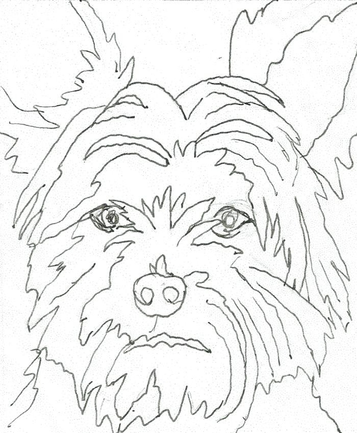 700x850 Yorkie Coloring Pages Coloring Pages Yorkie Poo Coloring Pages