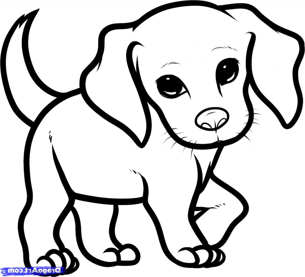 1024x929 Coloring Pages Yorkie Coloring Page Magnificent Puppy Drawings