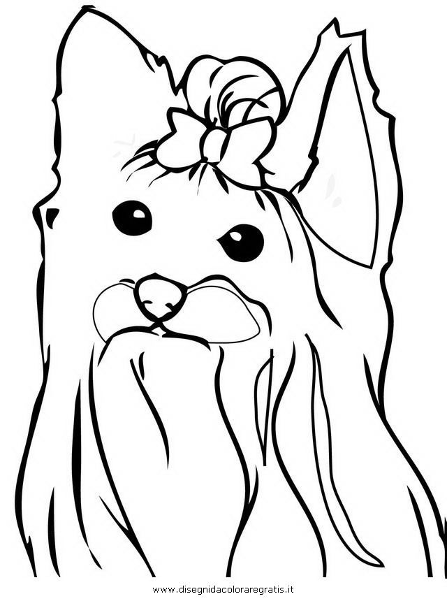 640x860 Coloring Sheets Yorkie Coloring Pages