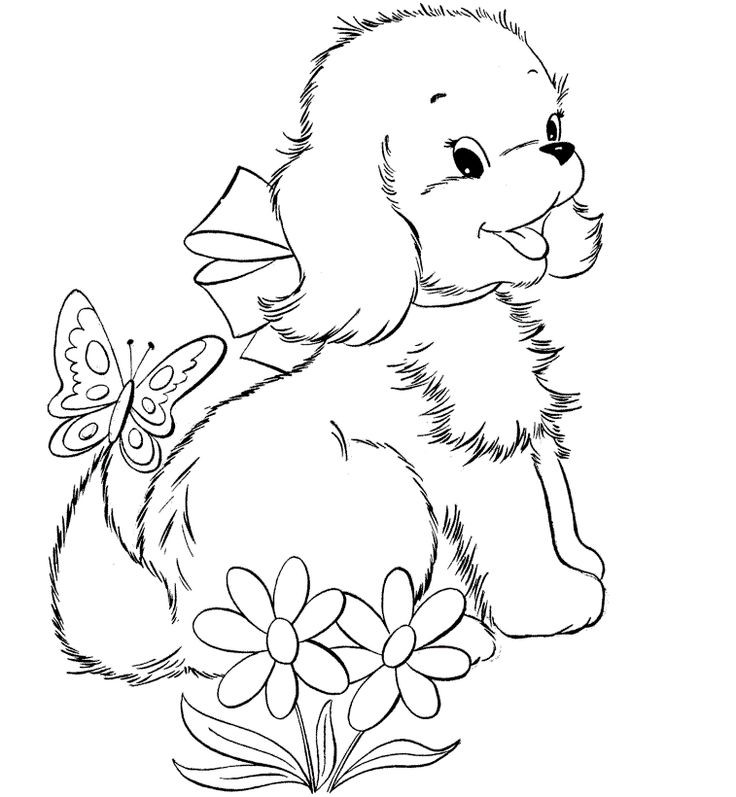 736x797 Unique Cute Yorkie Coloring Pages 13 Best Coloring Pages Dogs