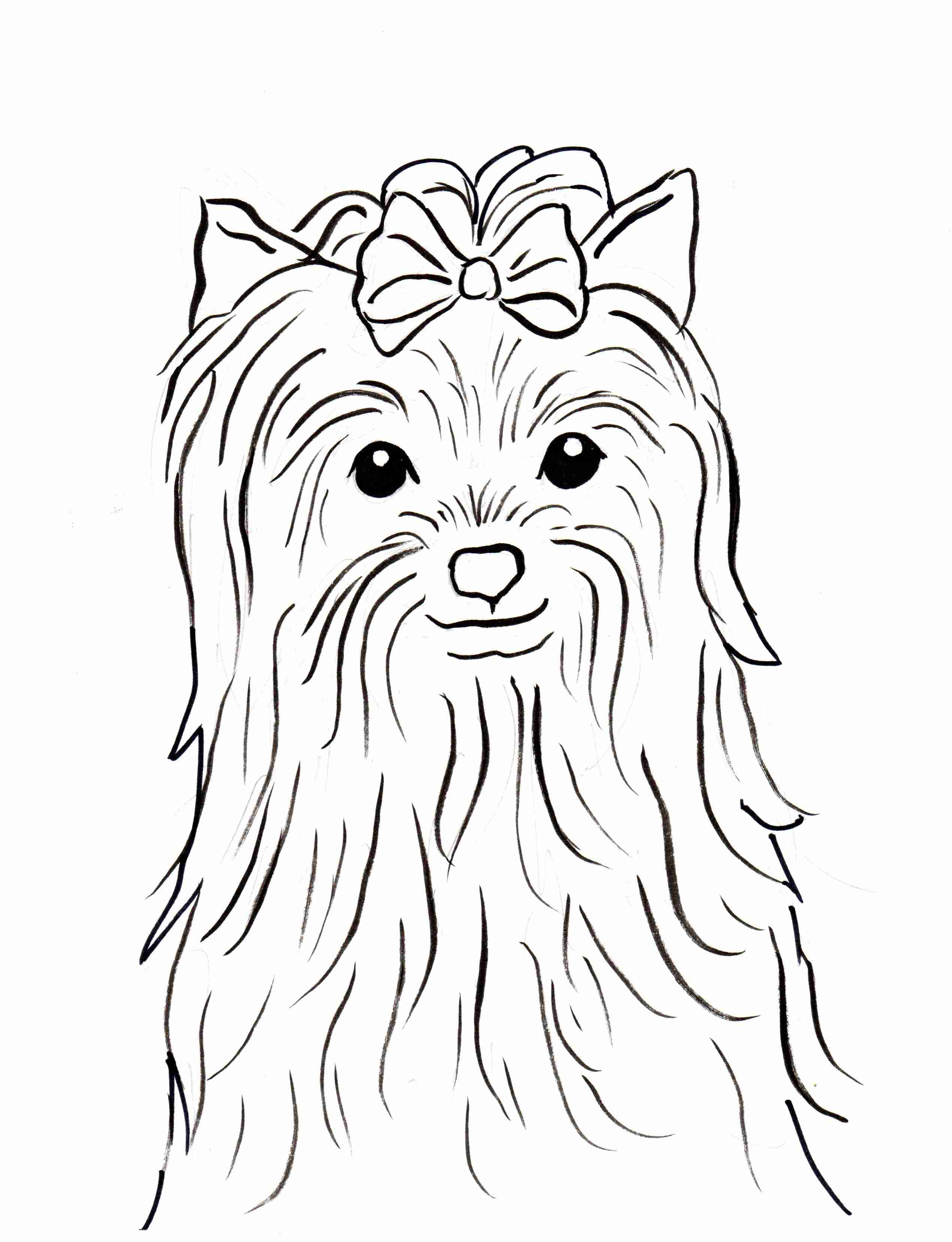 2540x3313 Yorkie Printable Coloring Pages Page Outstanding Yorkies 13