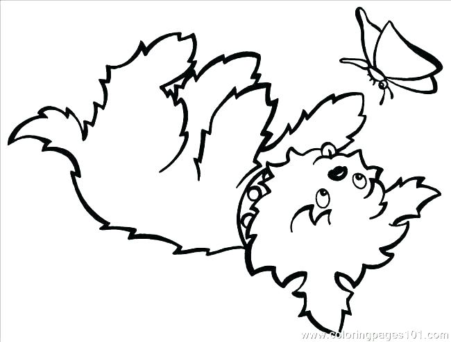 650x494 Yorkie Coloring Page Coloring Pages Outstanding Coloring Pages
