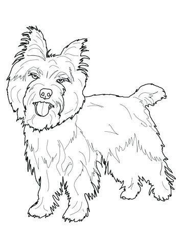 360x480 Coloring Yorkshire Terrier Coloring Pages Page Free Of Puppy