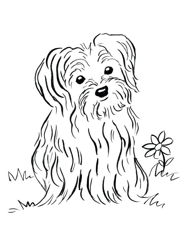 613x794 Coloring Sheet Coloring Sheet Puppy Coloring Page Bell Pages