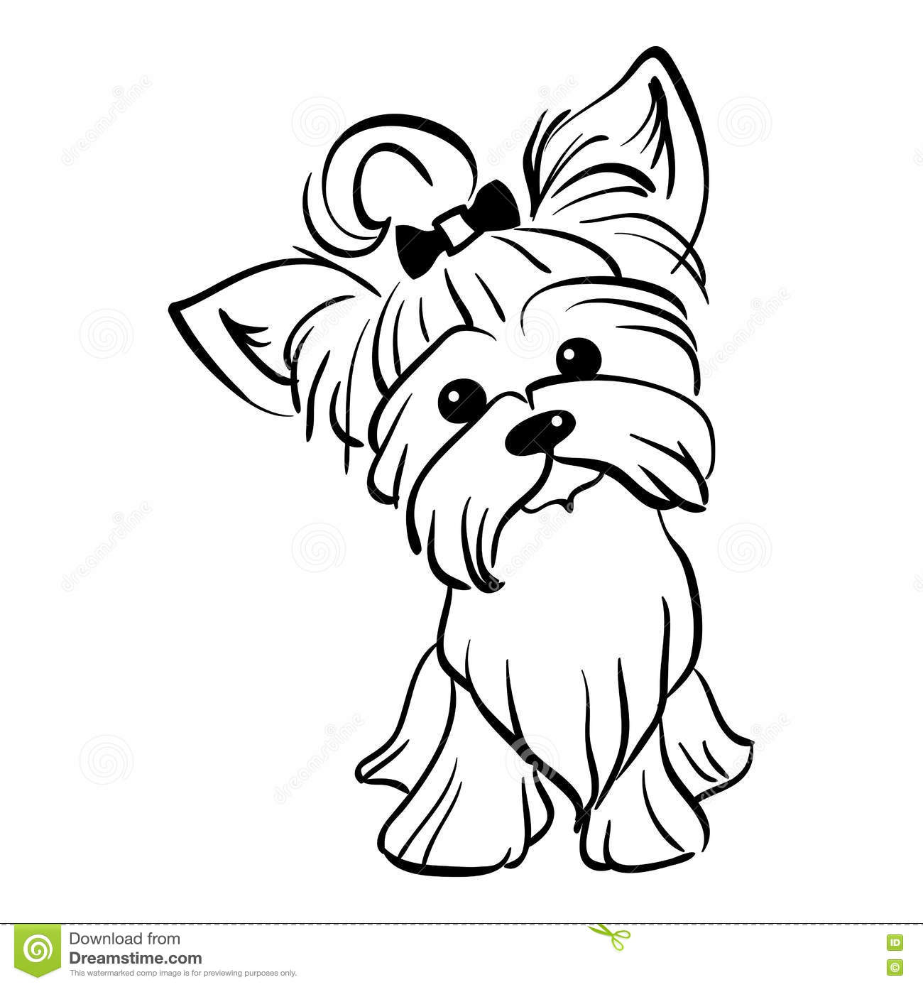 Yorkshire Terrier Coloring Pages