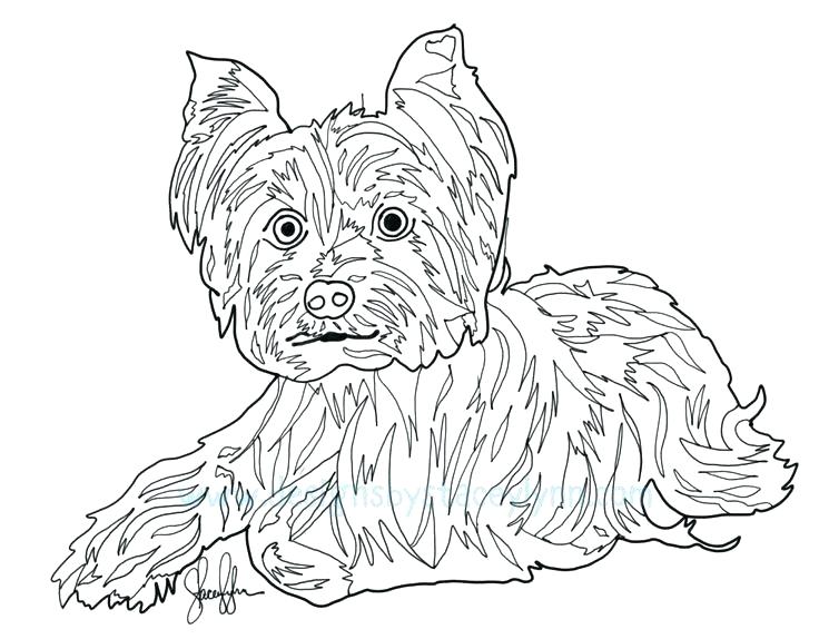 736x574 Coloring Page Coloring Page Terrier Coloring Pages Coloring Pages
