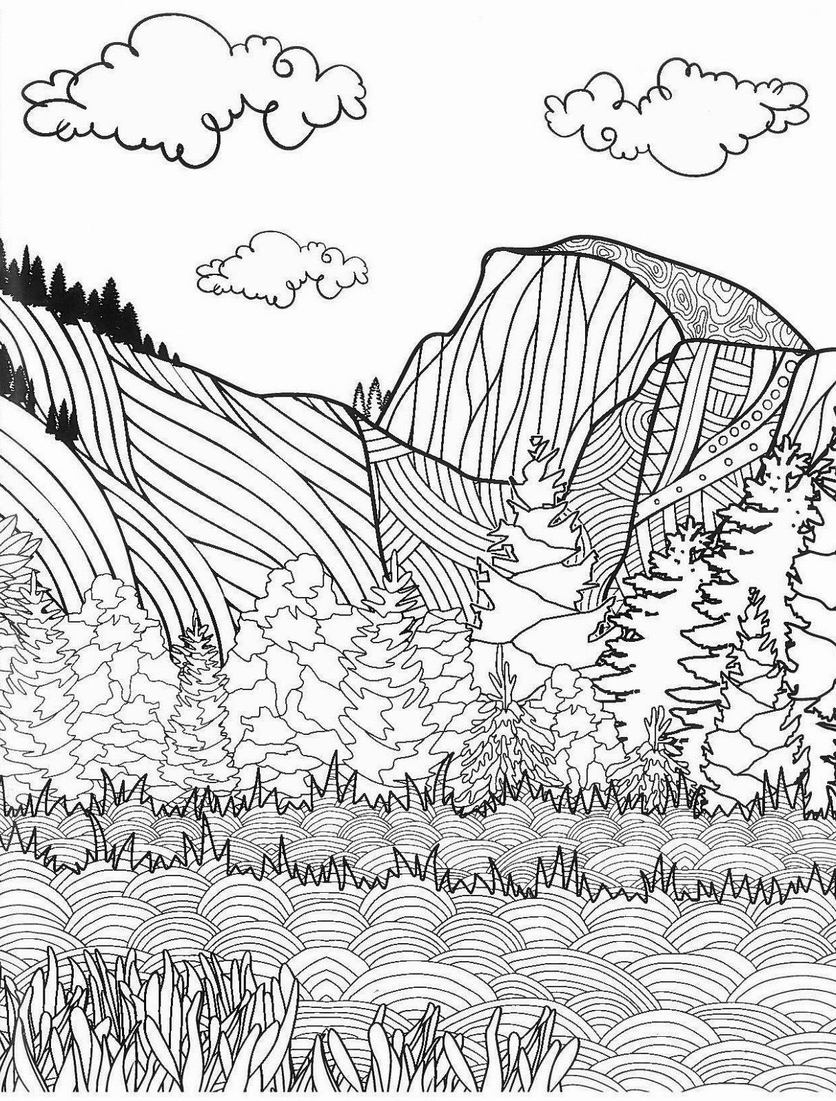 1213x1597 Yosemite Zen Coloring Book