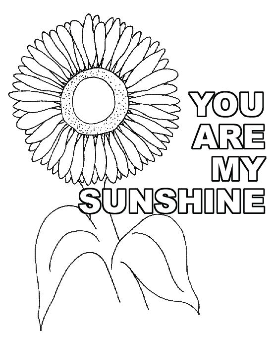 553x683 Detailed Sunflower Coloring Pages You Are My Sunshine Craft