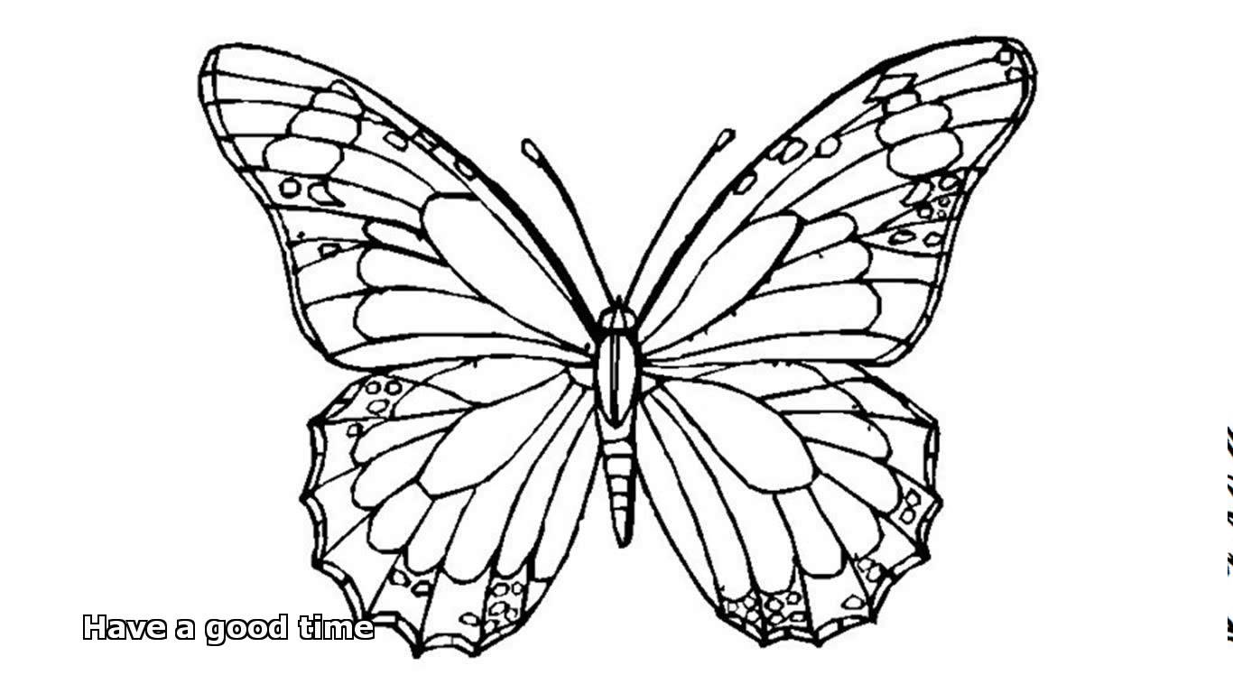 1366x768 Butterfly Coloring Pages