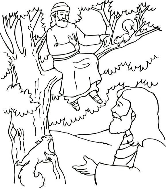 578x663 Zacchaeus Coloring Page