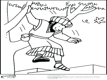 440x330 Zacchaeus Coloring Page And Coloring Page Plus Coloring Pages