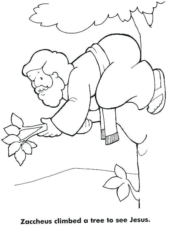 591x777 Zacchaeus Coloring Page Commandments Worksheets For Preschoolers