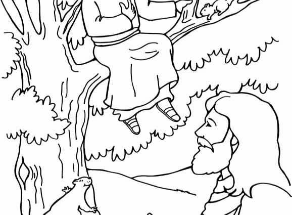 578x425 Zacchaeus Coloring Page Photos Zacchaeus Coloring Pages