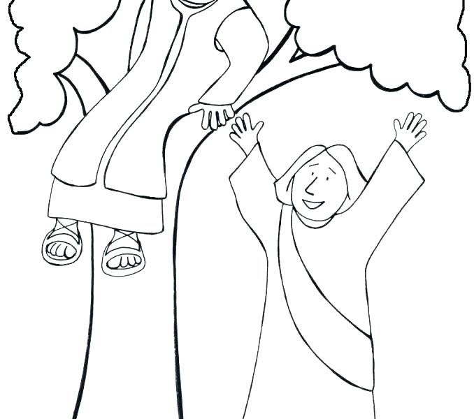 678x600 Zacchaeus Coloring Page We Zacchaeus Coloring Pages Printable