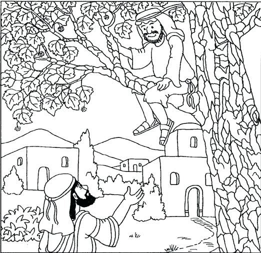 522x506 Zacchaeus Coloring Page
