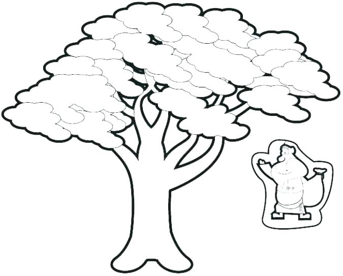 675x543 Zacchaeus Coloring