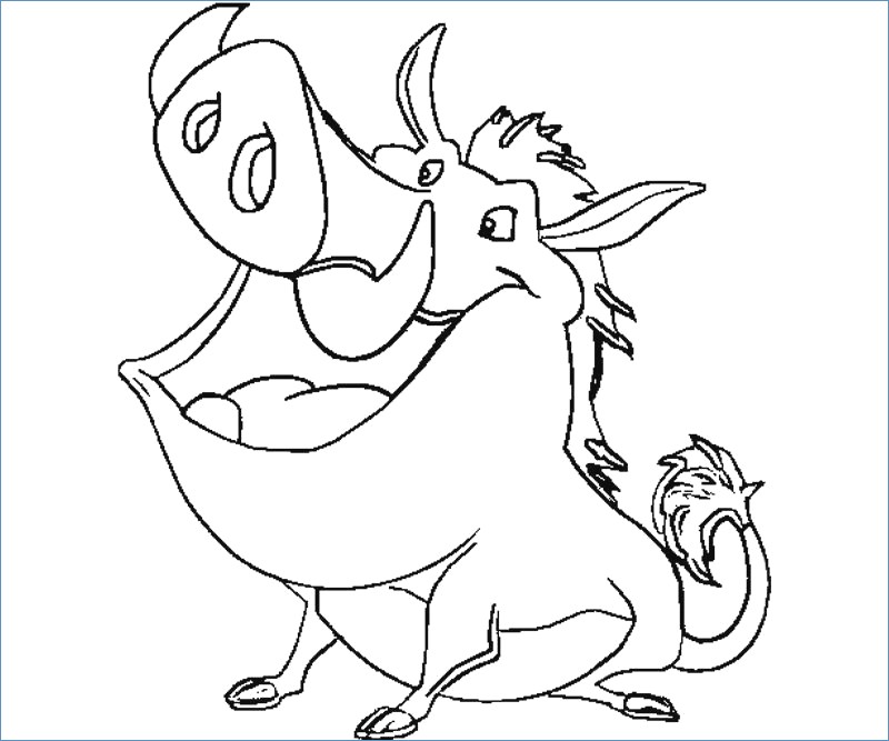 800x667 Timon Pumbaa And Zazu The Lion King Coloring Page