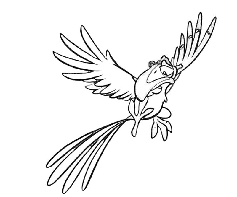 800x667 Zazu Look Lean Printing