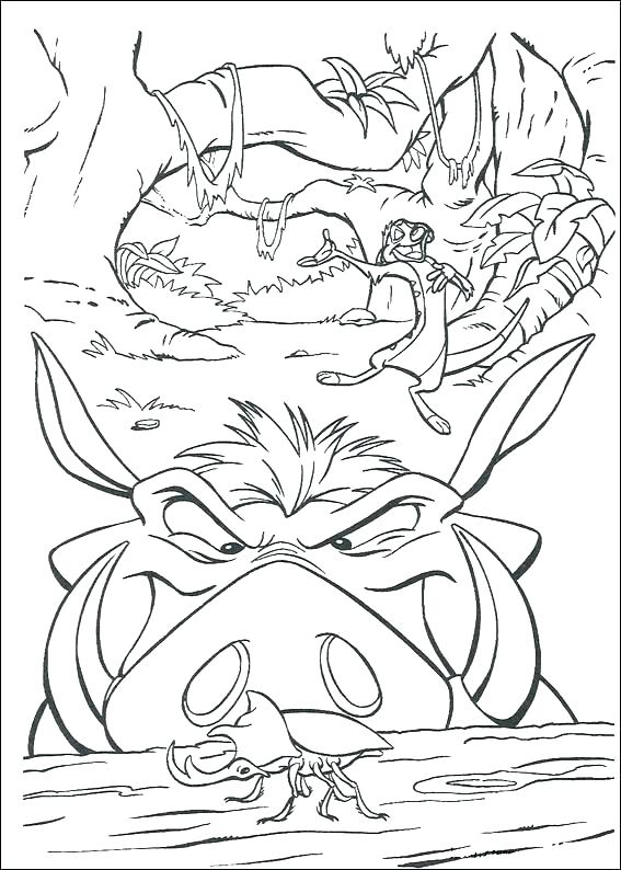 567x794 Lion Coloring Picture Lion Coloring Pages Together With New Lion