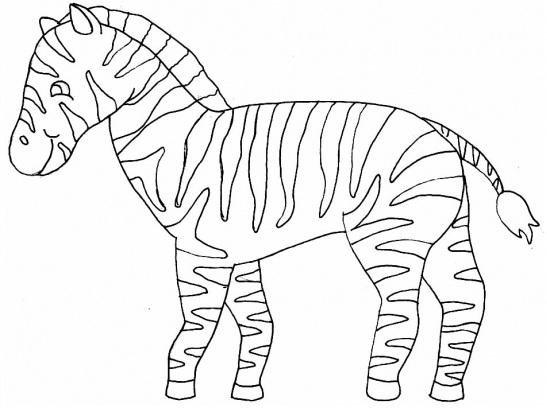 547x413 Coloring Pages Of Zebra Print For Kids
