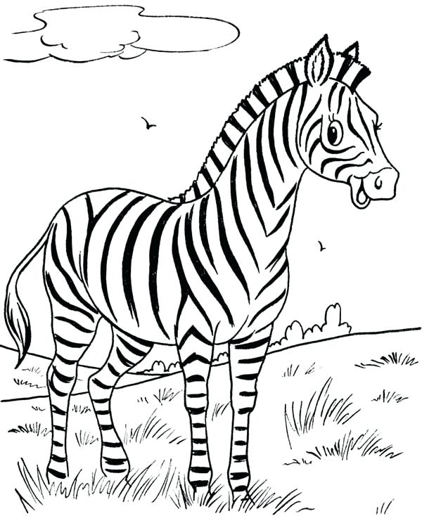 600x734 Zebra Coloring Pages For Adults Kids Coloring Zebra Coloring Page